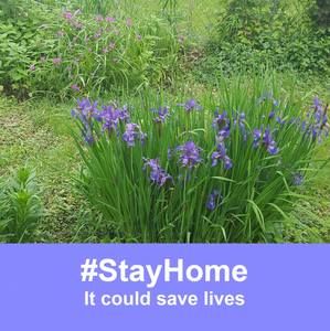 Meet your Posher, Silvia